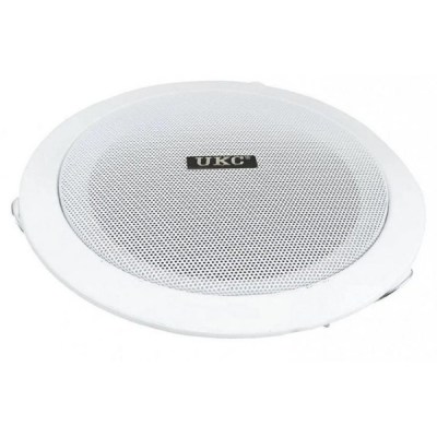 UKC CS-8500BM (BAFFLE PLAFONIER)-2